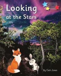 bokomslag Looking at the Stars
