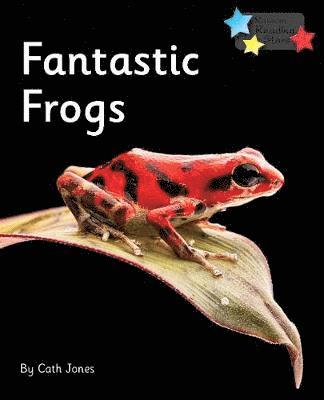 Fantastic Frogs 1