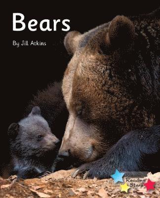 Jill Atkins, Atkins Jill - Bears, Häftad