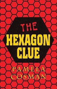 bokomslag The Hexagon Clue