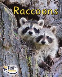 bokomslag Raccoons