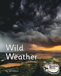 bokomslag Wild Weather