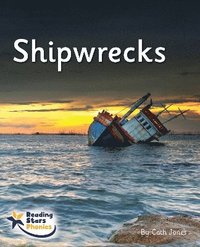 bokomslag Shipwrecks
