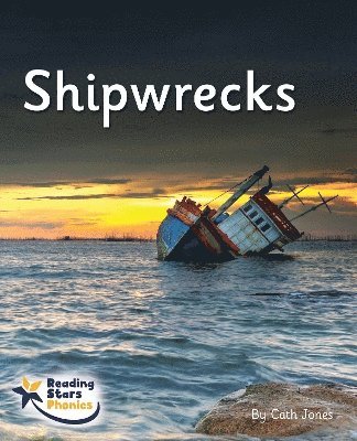 bokomslag Shipwrecks