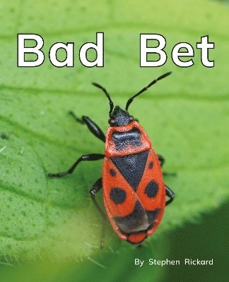 Bad Bet, Häftad