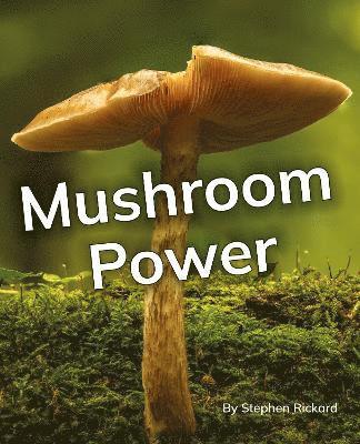 Mushroom Power, Häftad. Tillgänglighet: Lägg i varukorg