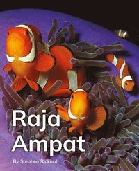 bokomslag Raja Ampat