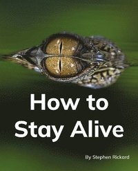 bokomslag How to Stay Alive