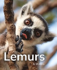 bokomslag Lemurs