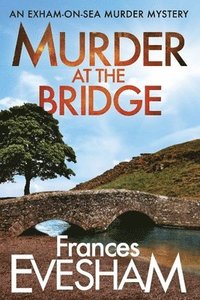 bokomslag Murder at the Bridge