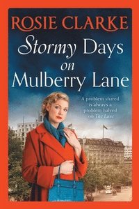 bokomslag Stormy Days On Mulberry Lane