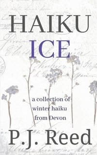 bokomslag Haiku Ice