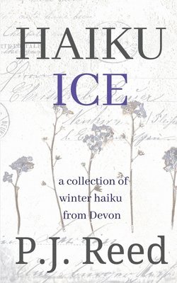 Haiku Ice 1