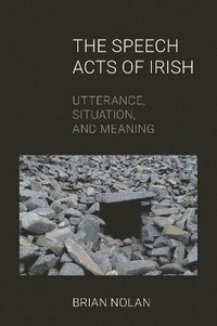 bokomslag The Speech Acts of Irish