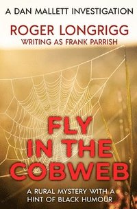 bokomslag Fly in the Cobweb
