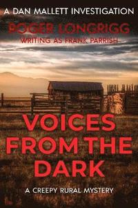 bokomslag Voices From the Dark