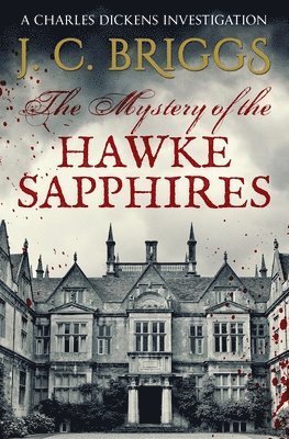 bokomslag Mystery of the Hawke Sapphires