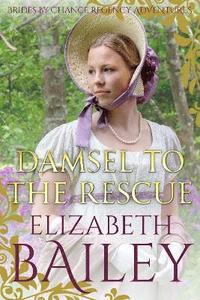 bokomslag Damsel to the Rescue