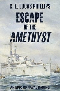 bokomslag Escape of the Amethyst