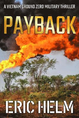 bokomslag Payback
