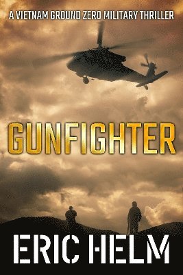 bokomslag Gunfighter
