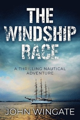 bokomslag Windship Race