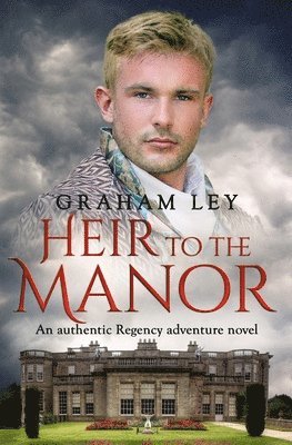 bokomslag Heir to the Manor
