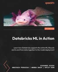 bokomslag Databricks ML in Action