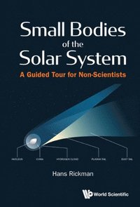 bokomslag Small Bodies Of The Solar System: A Guided Tour For Non-scientists