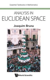bokomslag Analysis In Euclidean Space