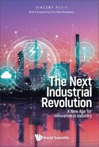 bokomslag Next Industrial Revolution, The: A New Age For Innovation In Industry