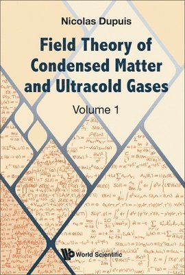 bokomslag Field Theory Of Condensed Matter And Ultracold Gases - Volume 1