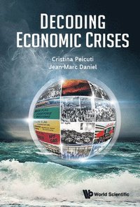 bokomslag Decoding Economic Crises