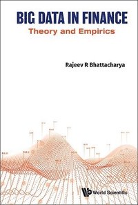 bokomslag Big Data in Finance: Theory and Empirics