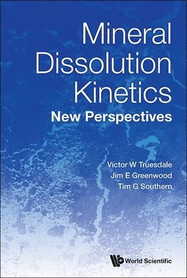 bokomslag Mineral Dissolution Kinetics: New Perspectives