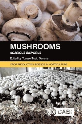 bokomslag Mushrooms