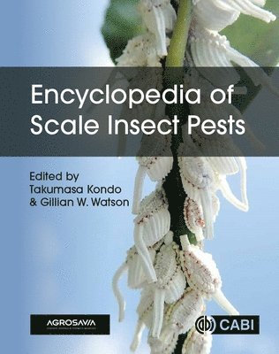 Takumasa Kondo, Gillian W. Watson - Encyclopedia of Scale Insect Pests, Inbunden