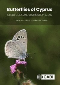 bokomslag Butterflies of Cyprus