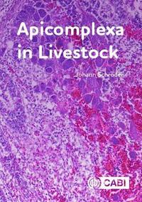 bokomslag Apicomplexa in Livestock