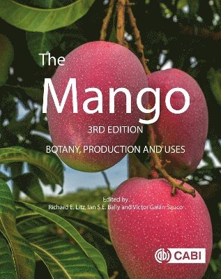 bokomslag Mango