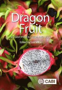 bokomslag Dragon Fruit
