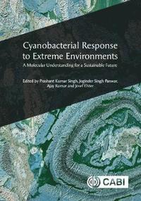 bokomslag Cyanobacterial Response to Extreme Environments