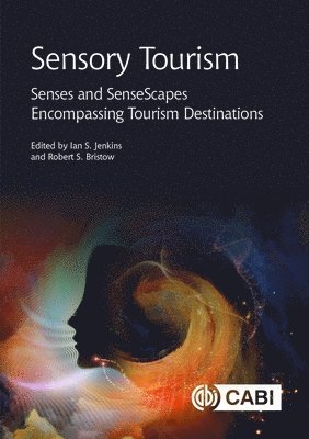 bokomslag Sensory Tourism