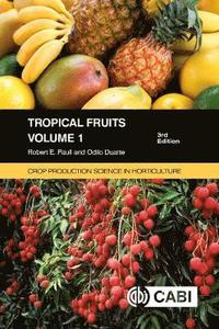 bokomslag Tropical Fruits, Volume 1