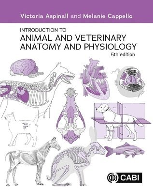 Victoria Aspinall BVSc, MRCVS, Melanie Cappello BSc (Hons) Zoology, PGCE, VN - Introduction to Animal and Veterinary Anatomy and Physiology, Häftad