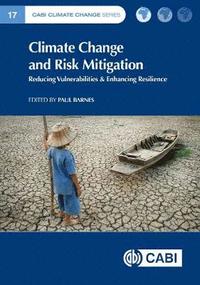 bokomslag Climate Change and Risk Mitigation