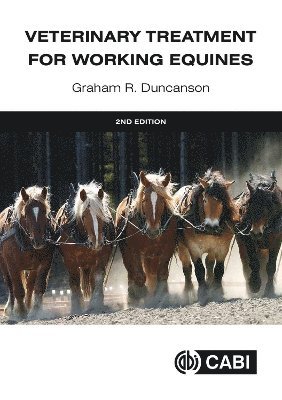 Veterinary Treatment for Working Equines 1