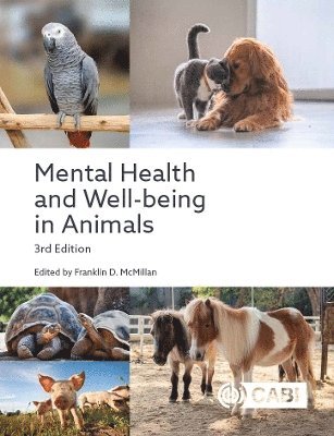 bokomslag Mental Health and Well-being in Animals