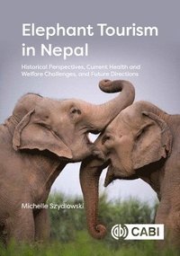 bokomslag Elephant Tourism in Nepal