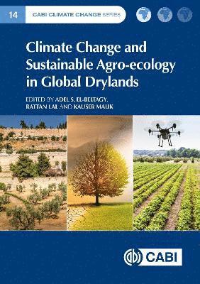 bokomslag Climate Change and Sustainable Agro-ecology in Global Drylands